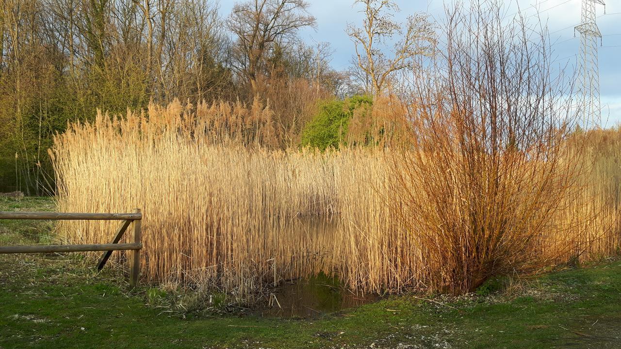 Mybednbreakfast In Bottmingen Bed & Breakfast Екстериор снимка