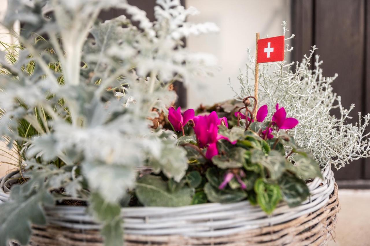 Mybednbreakfast In Bottmingen Bed & Breakfast Екстериор снимка